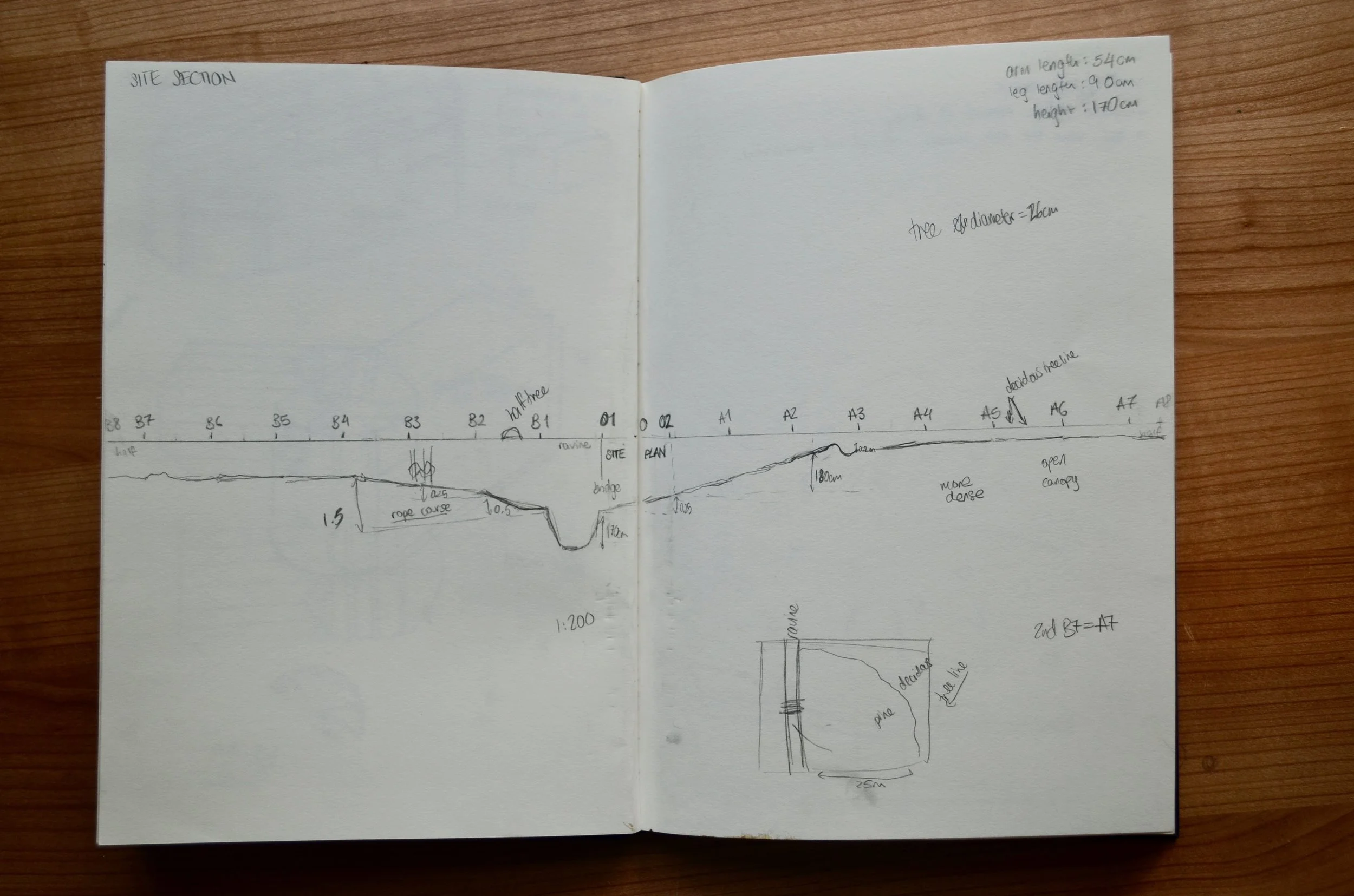 Field Notes