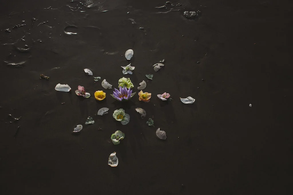 OceanFlora-73.jpg