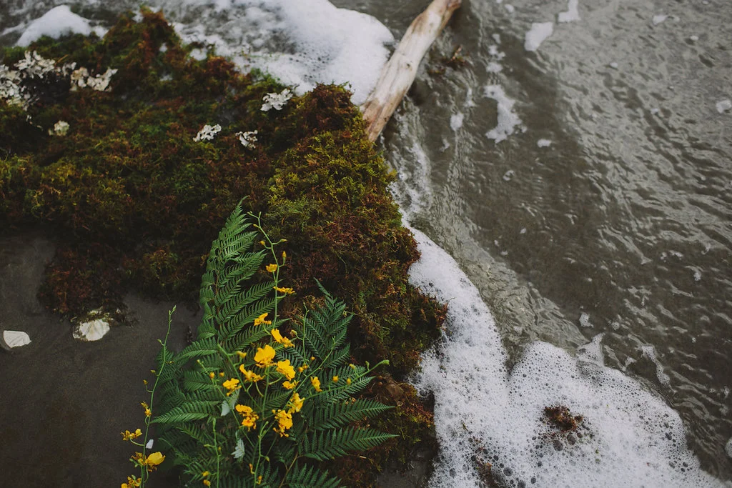 OceanFlora-92.jpg