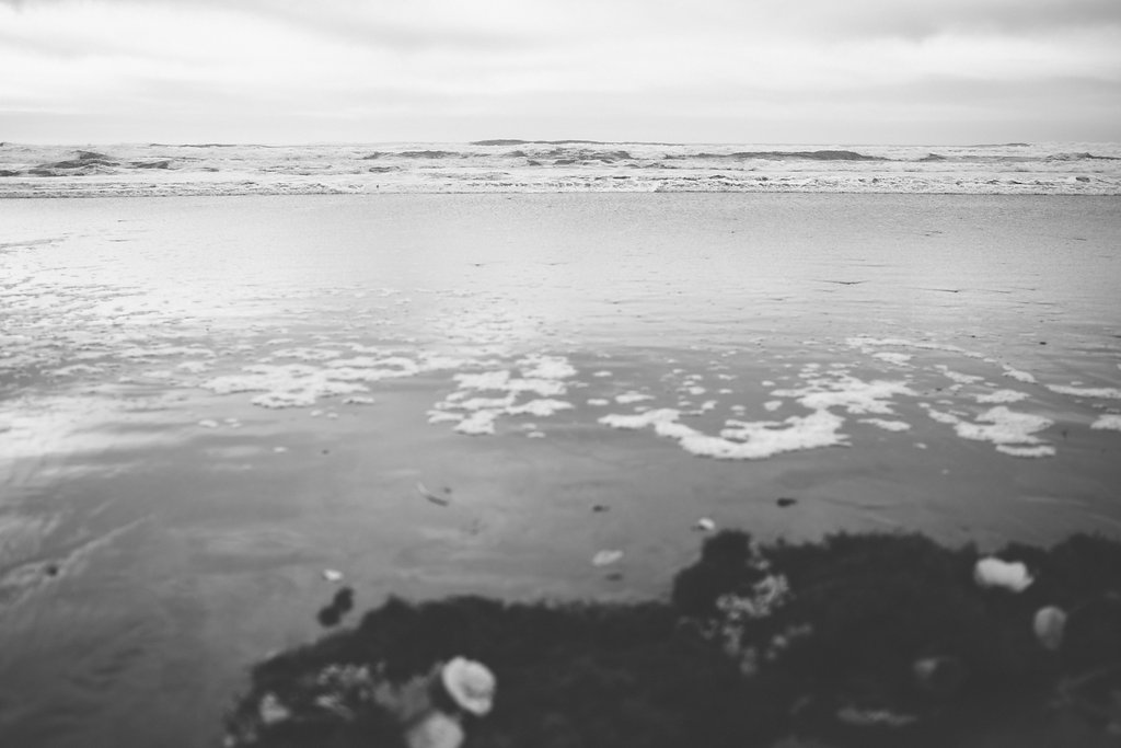 OceanFlora-28.jpg