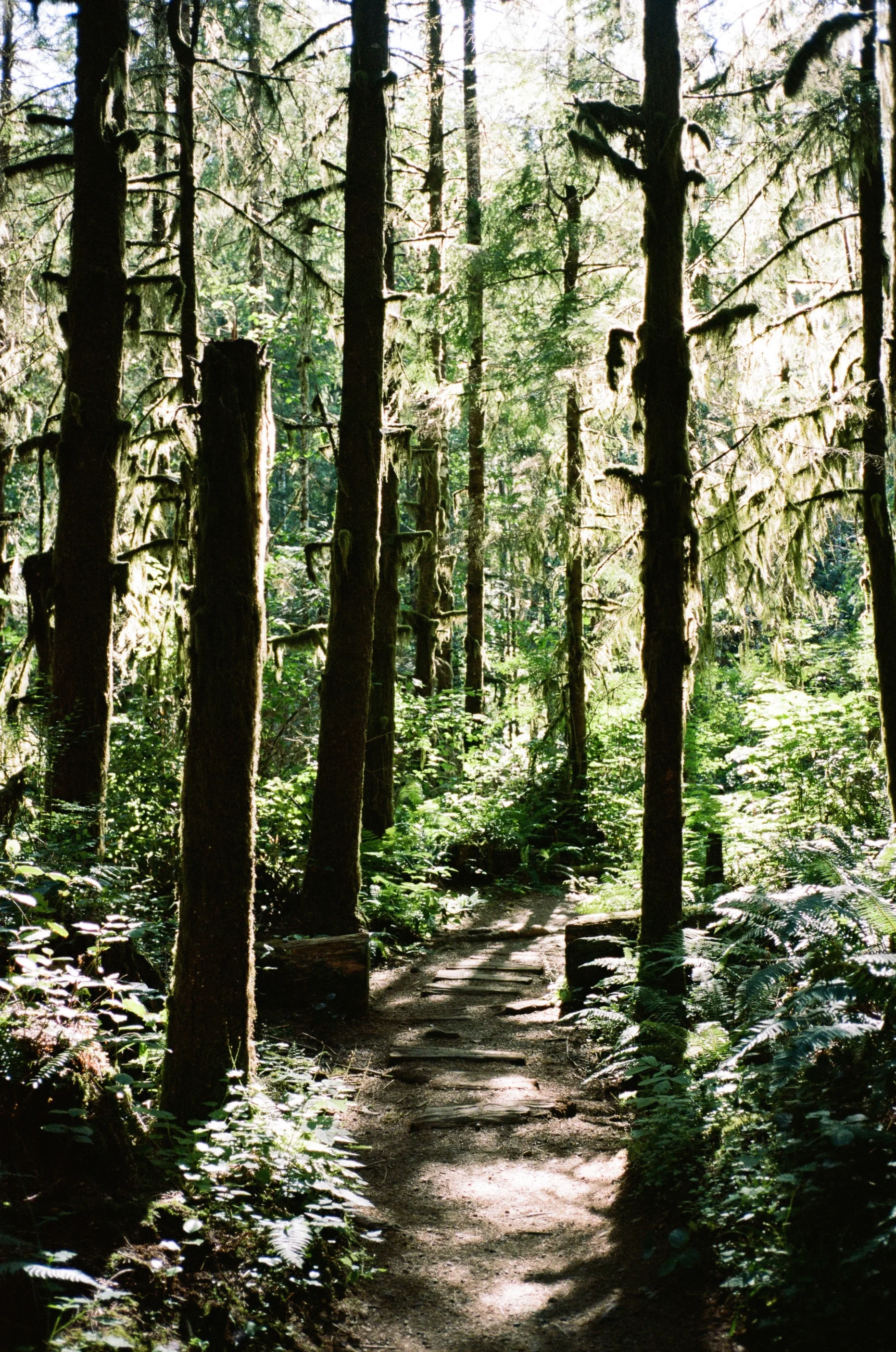 7923_0008.jpg