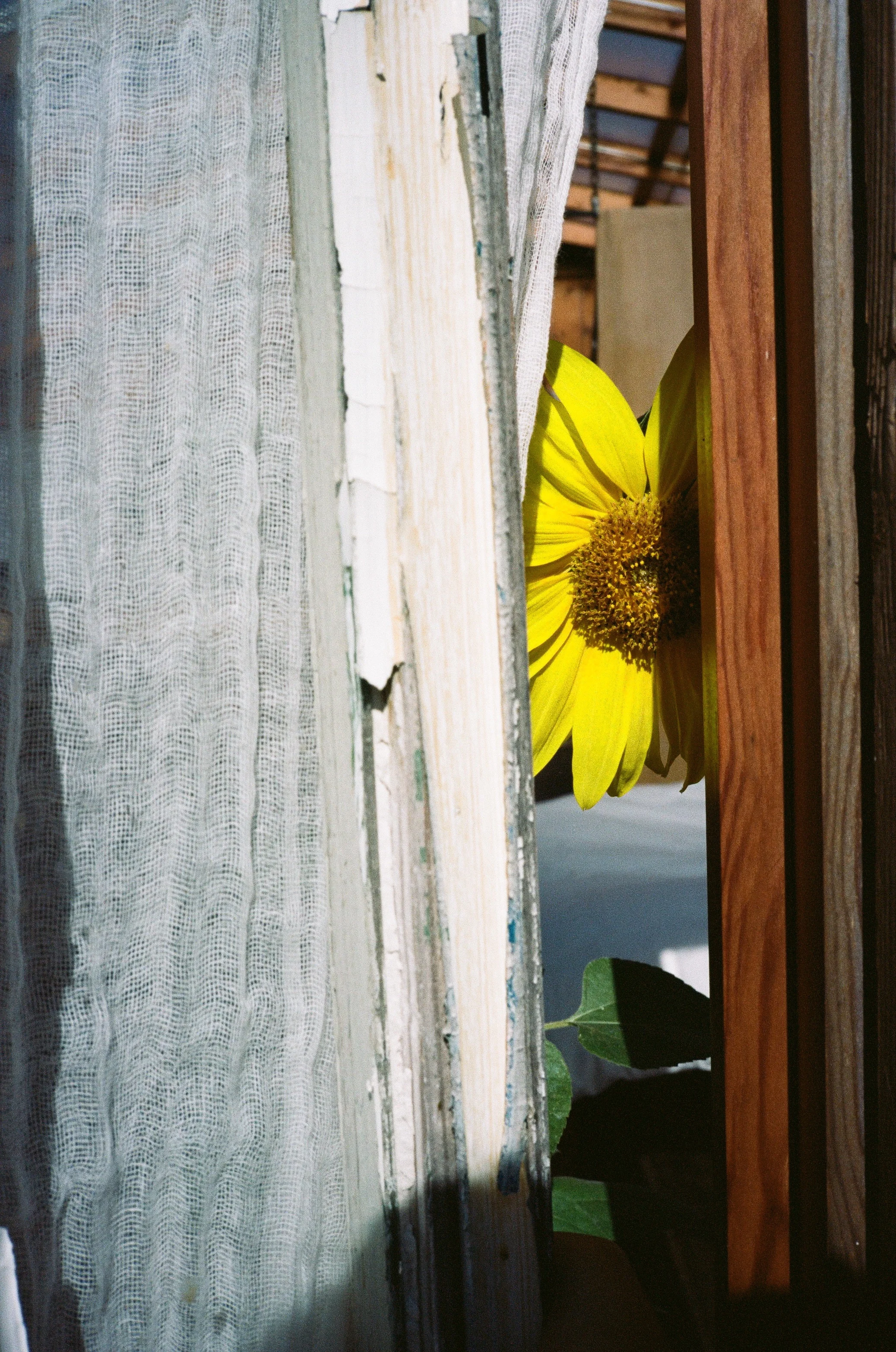 7922_0022.jpg