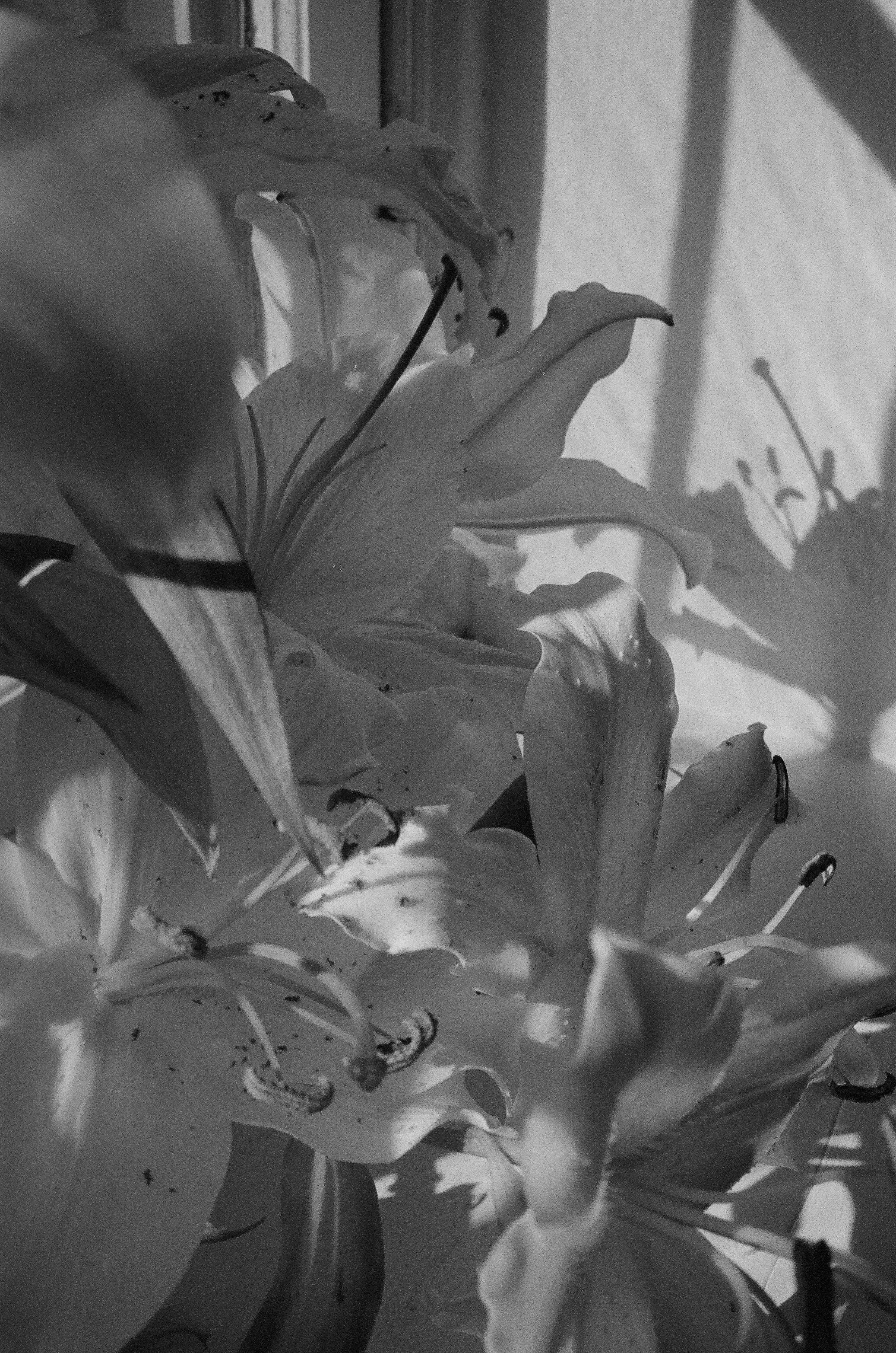 9637_0032.jpg