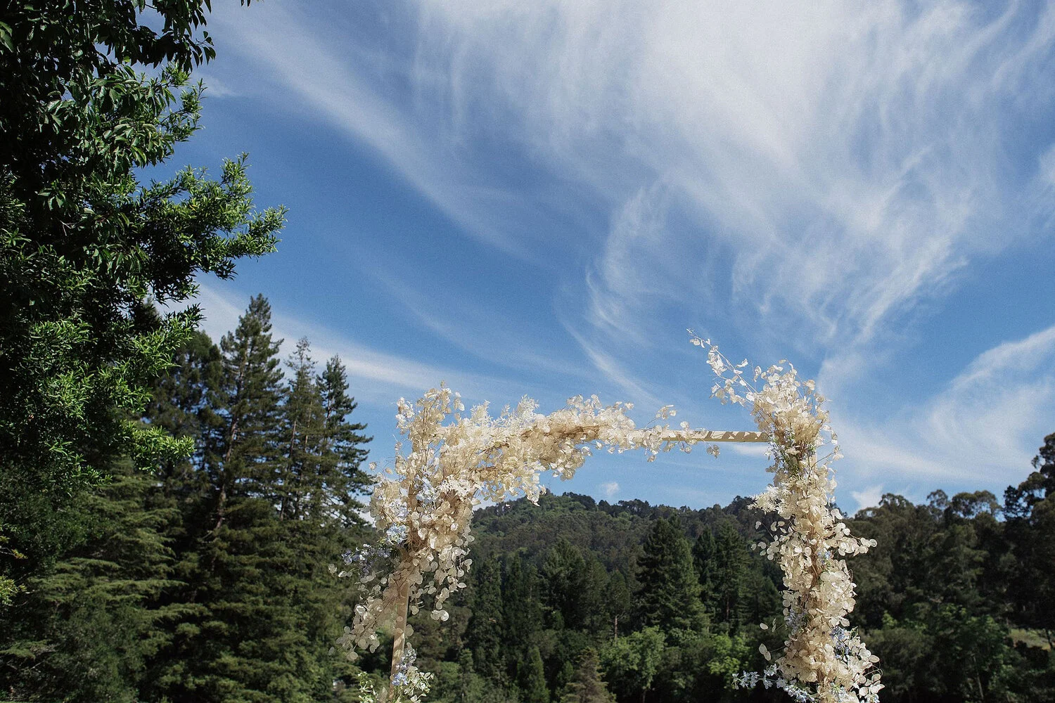 tilden-park-wedding_0243.jpg