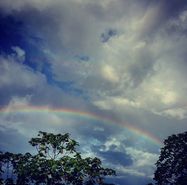 Amazon Rainbow