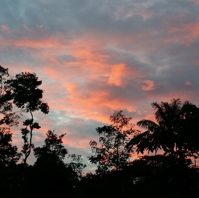 Amazonian Sunrise