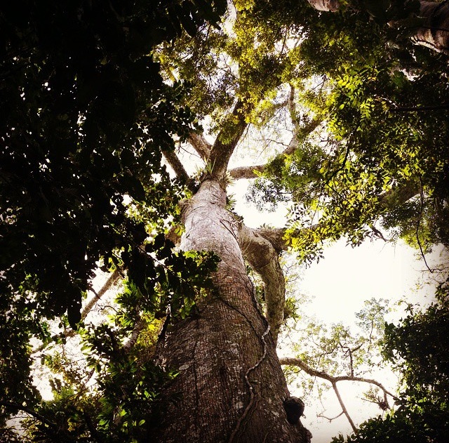 image6.jpeg