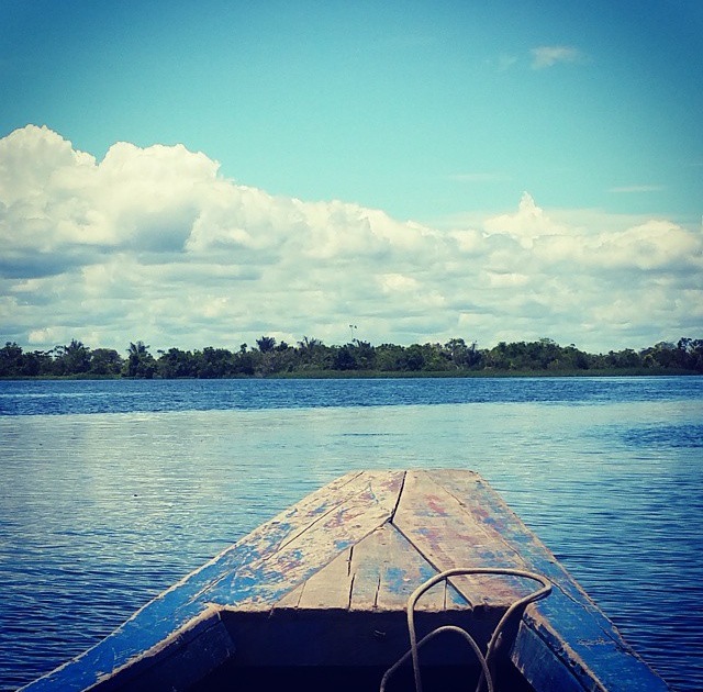 Cruising down the Amazon