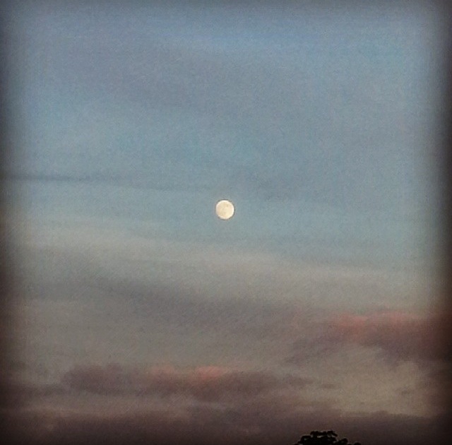 image28.jpeg