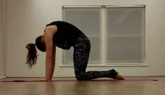 Cat - Majaryasana