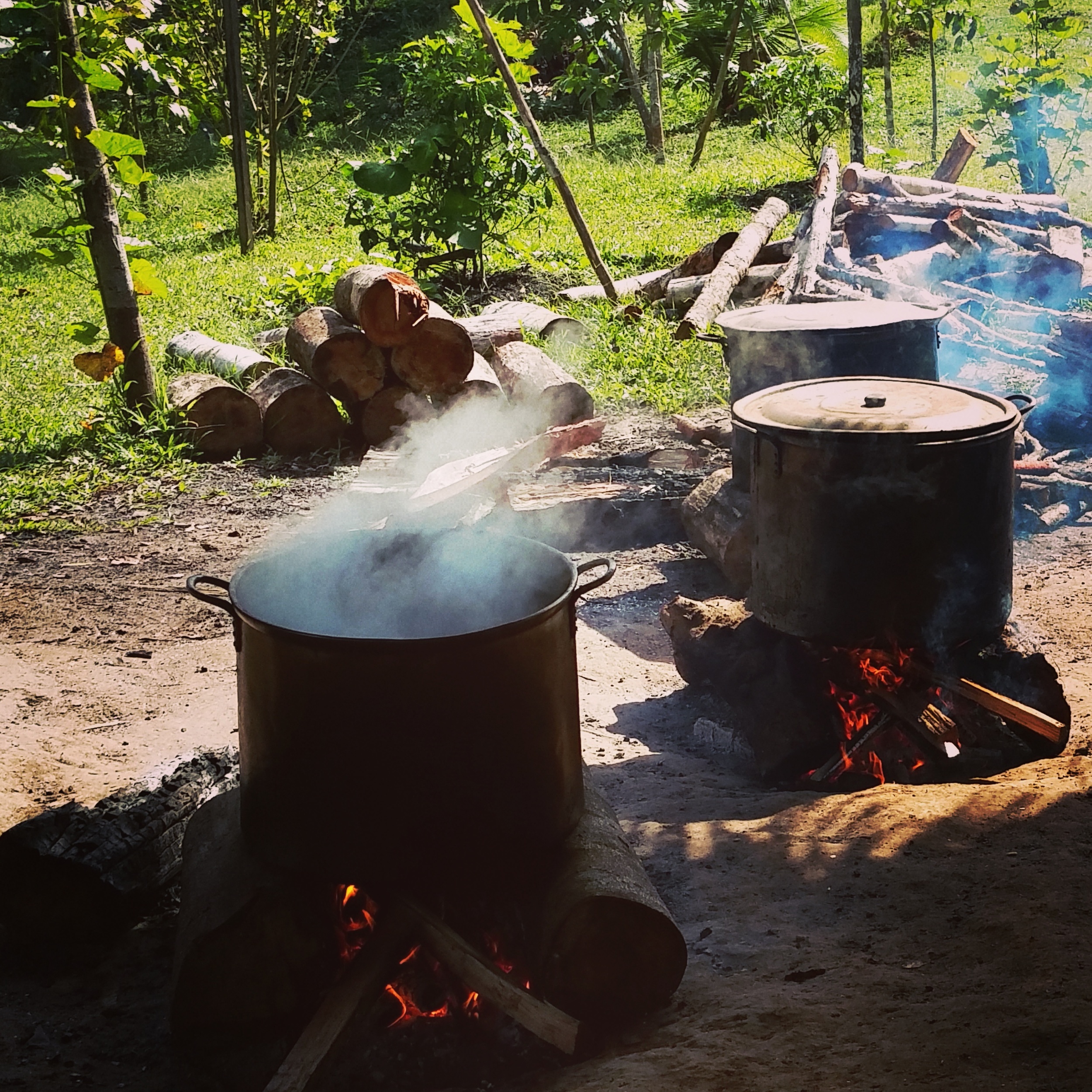 Ayahuasca cooking up a treat