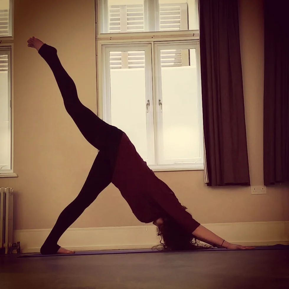 Tripod Dog - Vinyasa Flow @ Lopping Hall