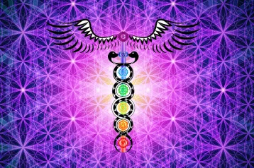 Elevation chakra pic.jpg