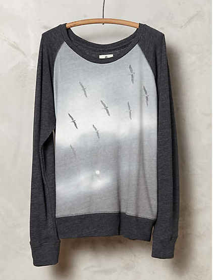 Anthropologie sweatshirt ($107)
