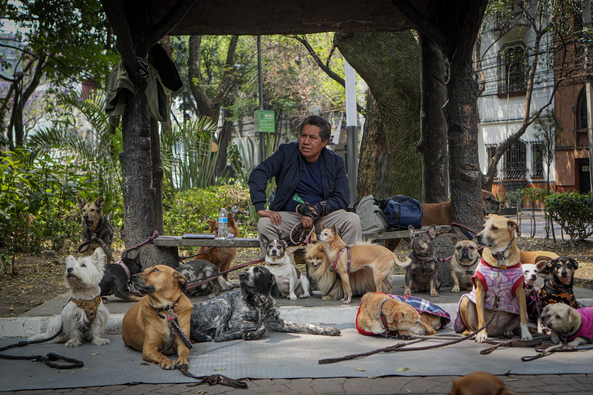 Harley Pan America touring in Mexico08837.jpg
