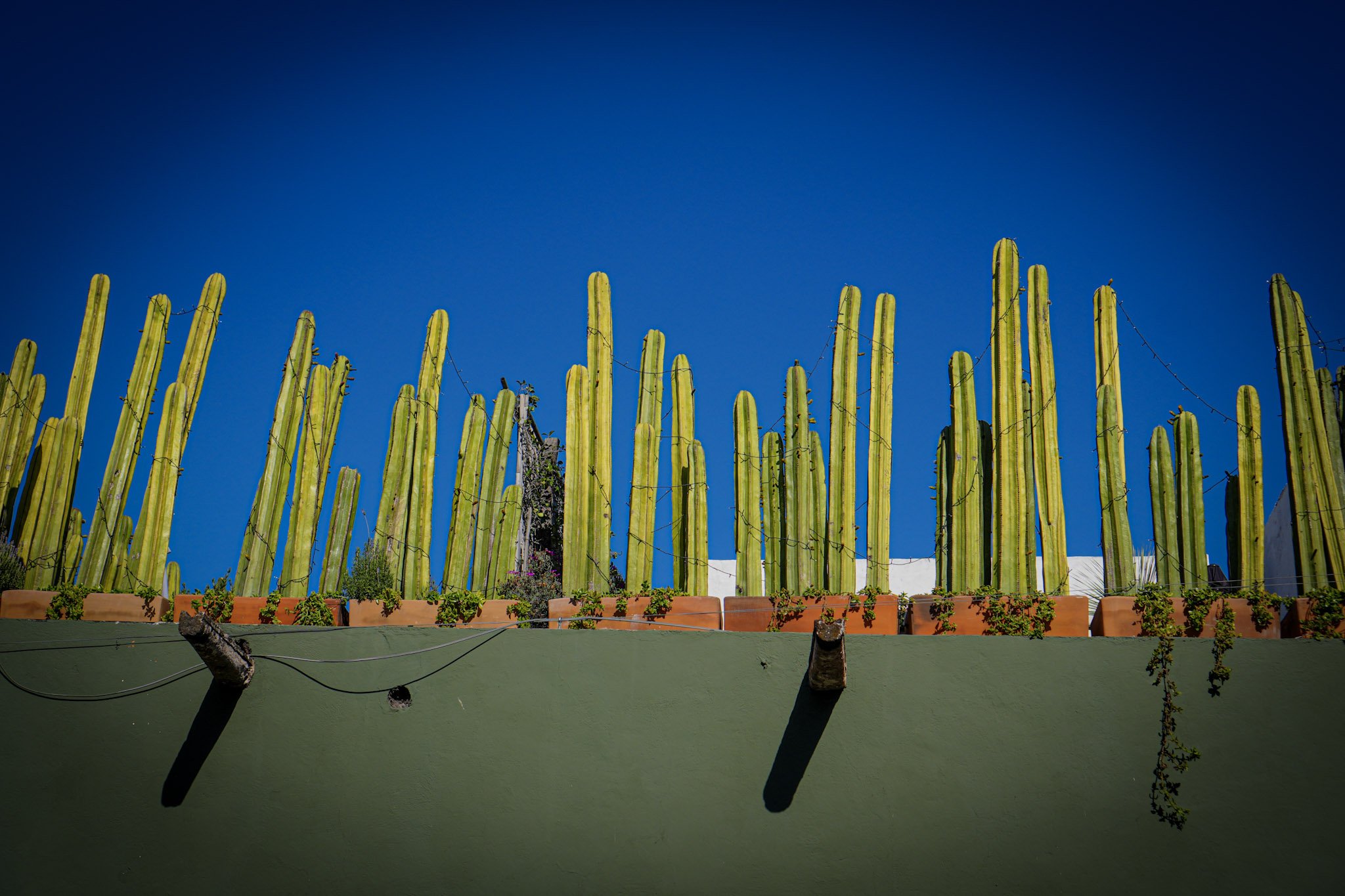 Harley Pan America touring in Mexico08418.jpg