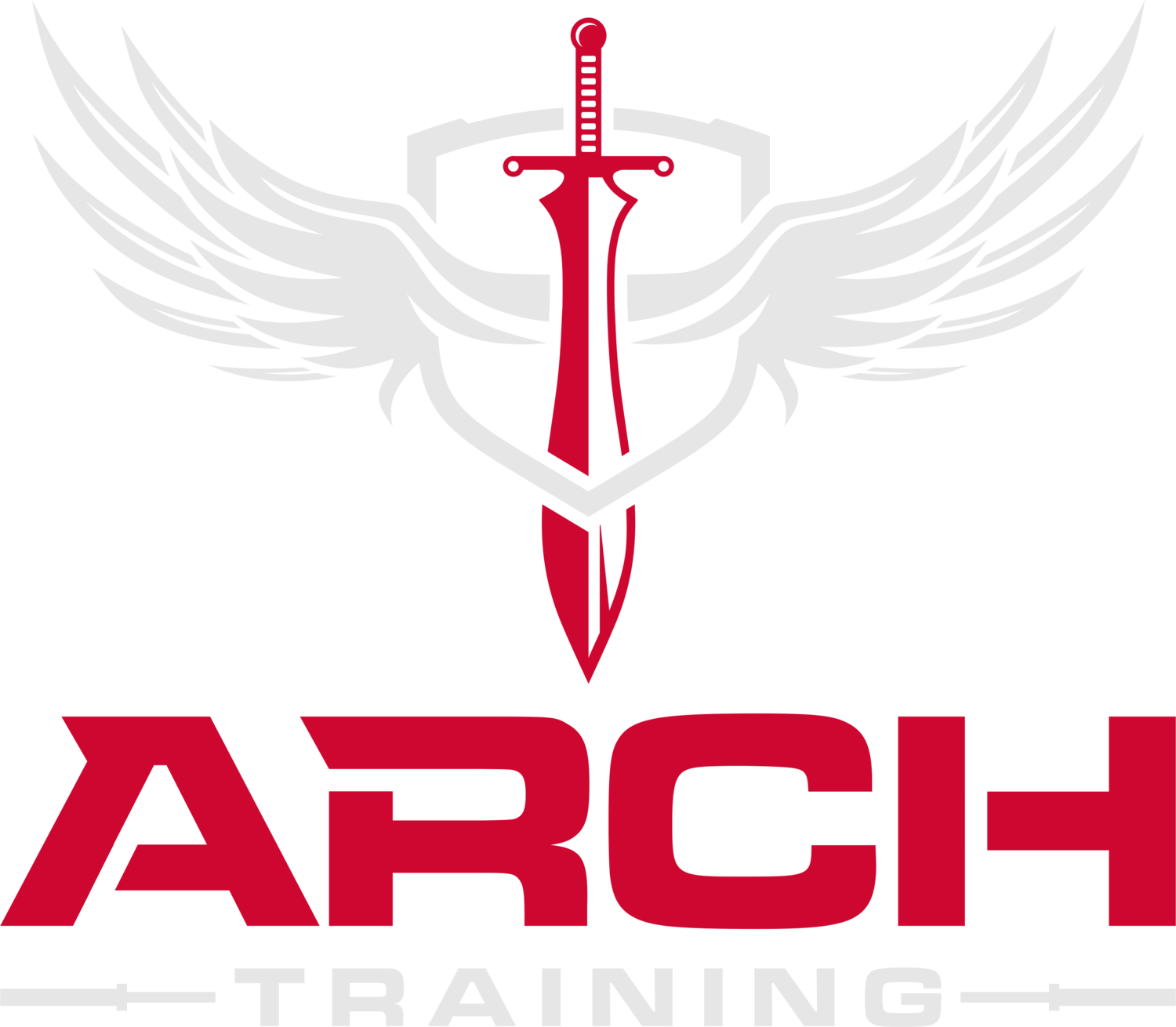 ARCH Training