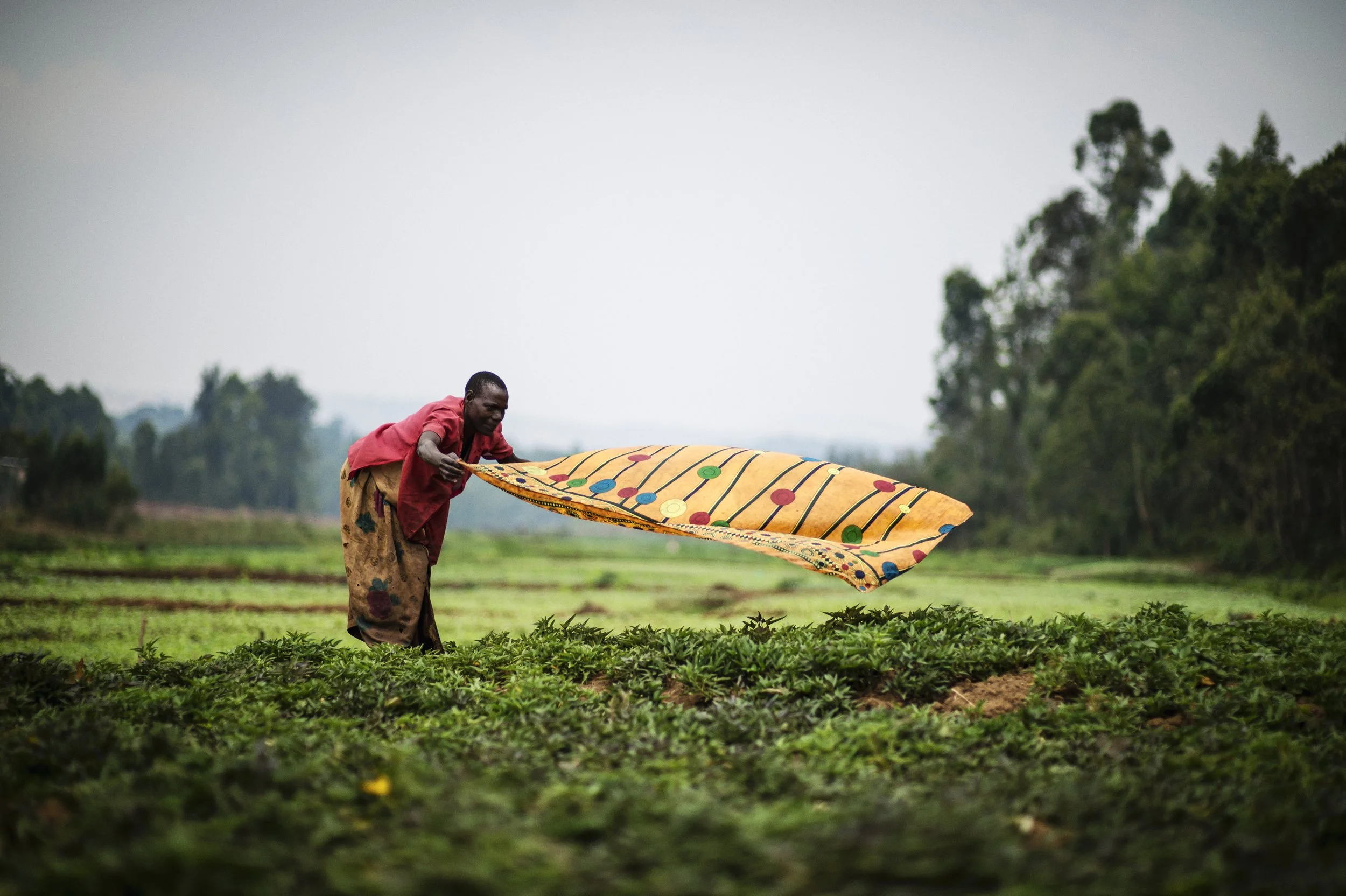 _D4B5708-Edit copy.jpeg