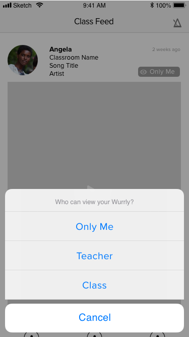 3 Classfeed - visibility settings.png