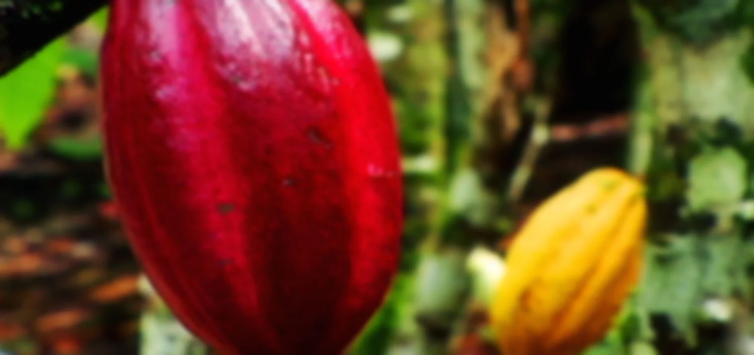 ChocolateCountrystill01.jpg