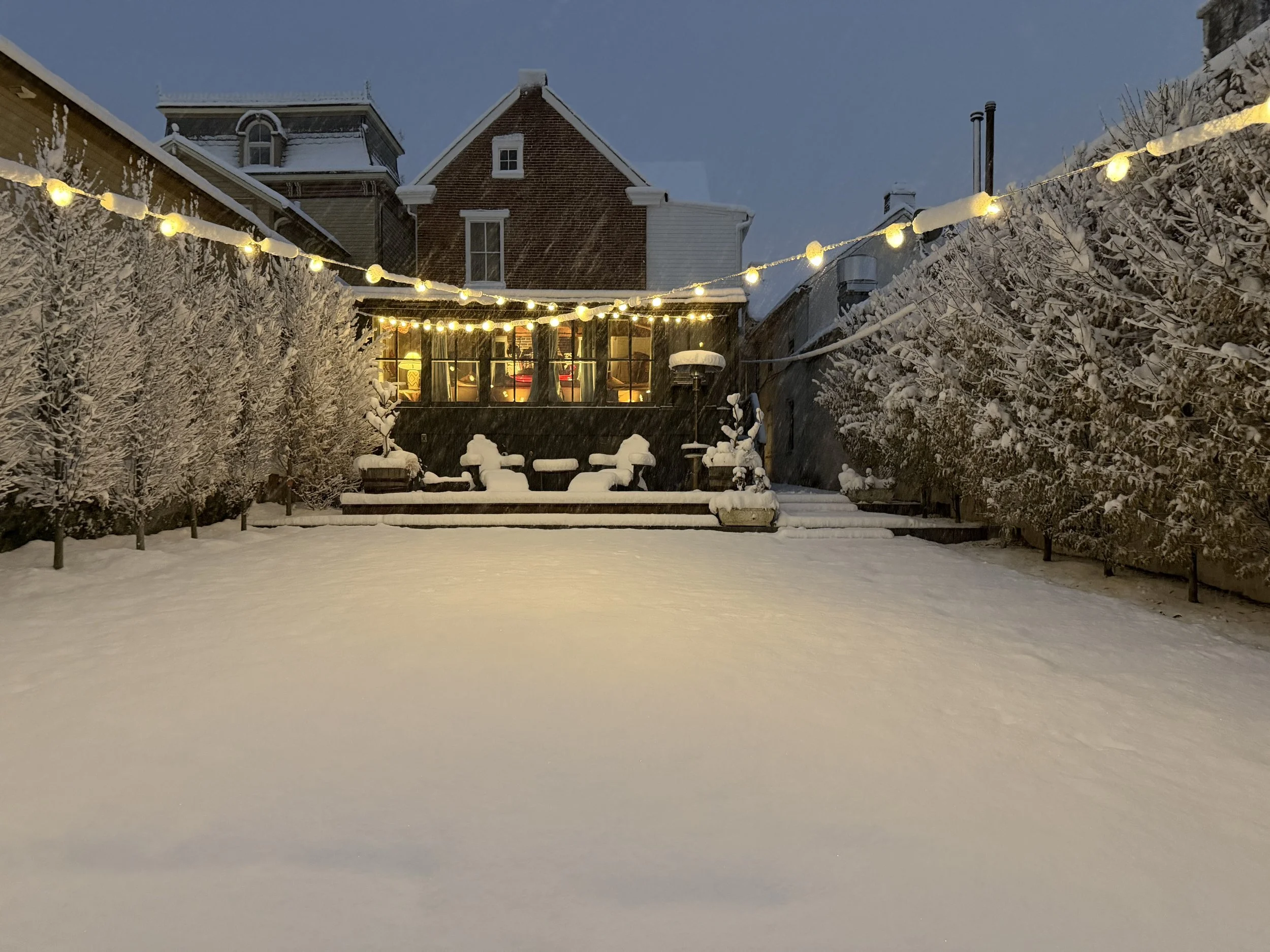 Ground Control Court Night 2.jpeg