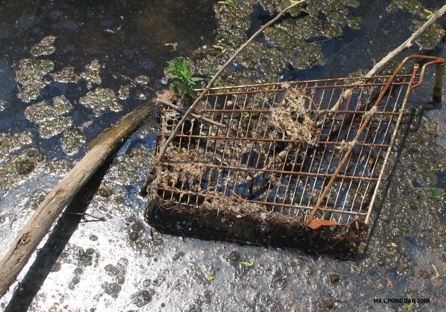 Mill River prior to Restoration © Mill River Collaborative