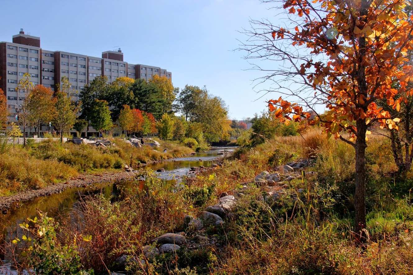 The restored Rippowam River meandering through Mill River Park in Downtown Stamford, CT. © OLIN/Sahar Coston-Hardy
