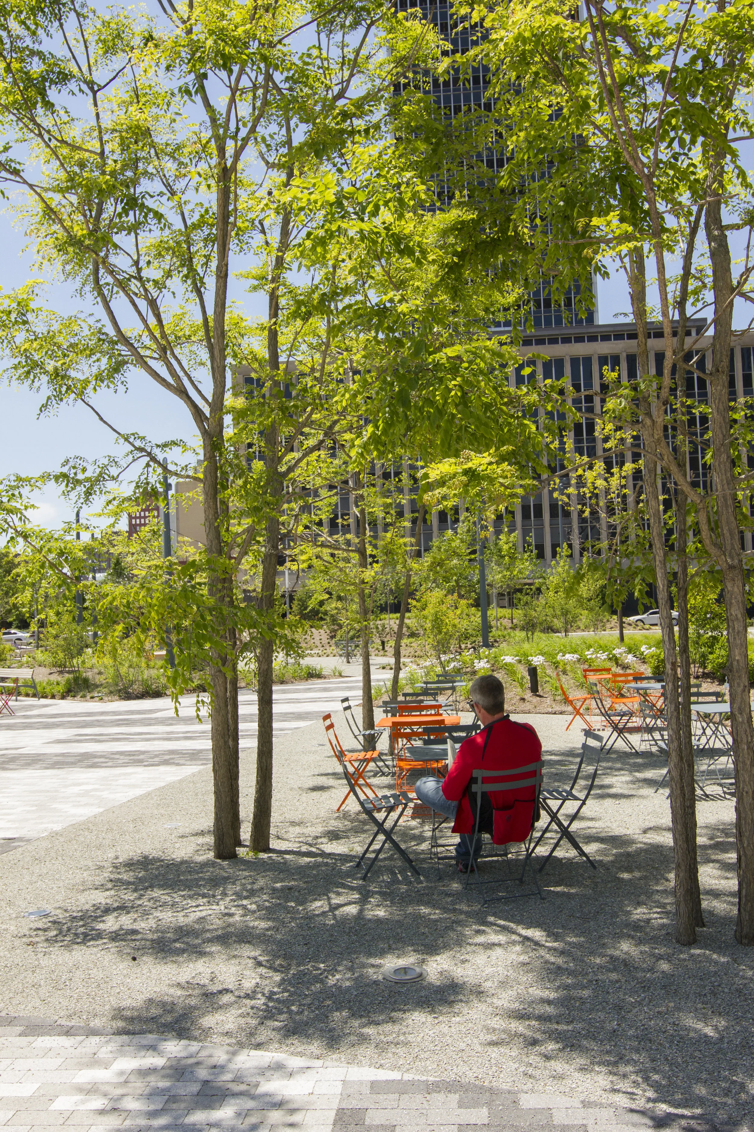 © Nicholas Forari Denney