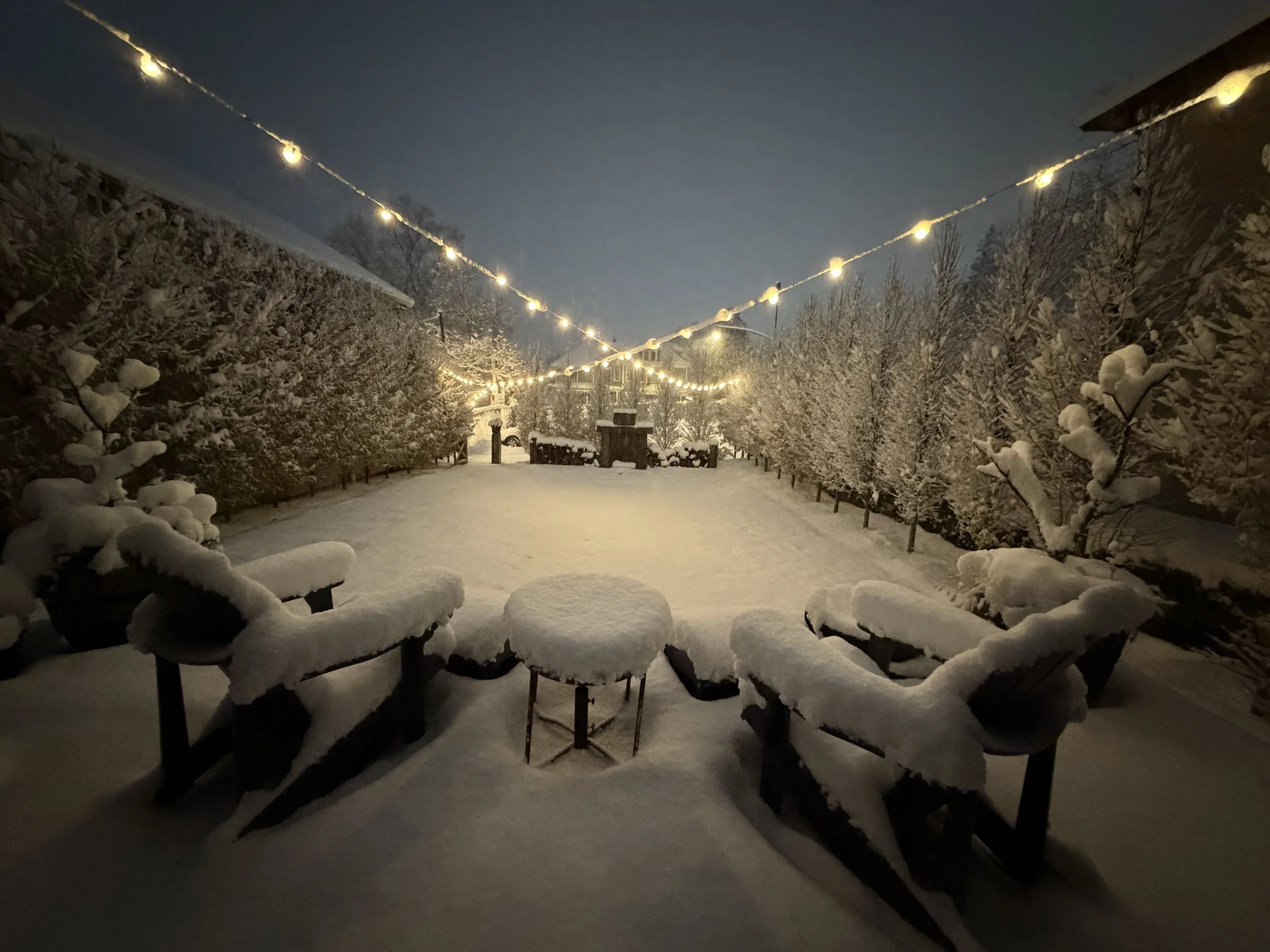 Ground Control Court Winter.jpeg