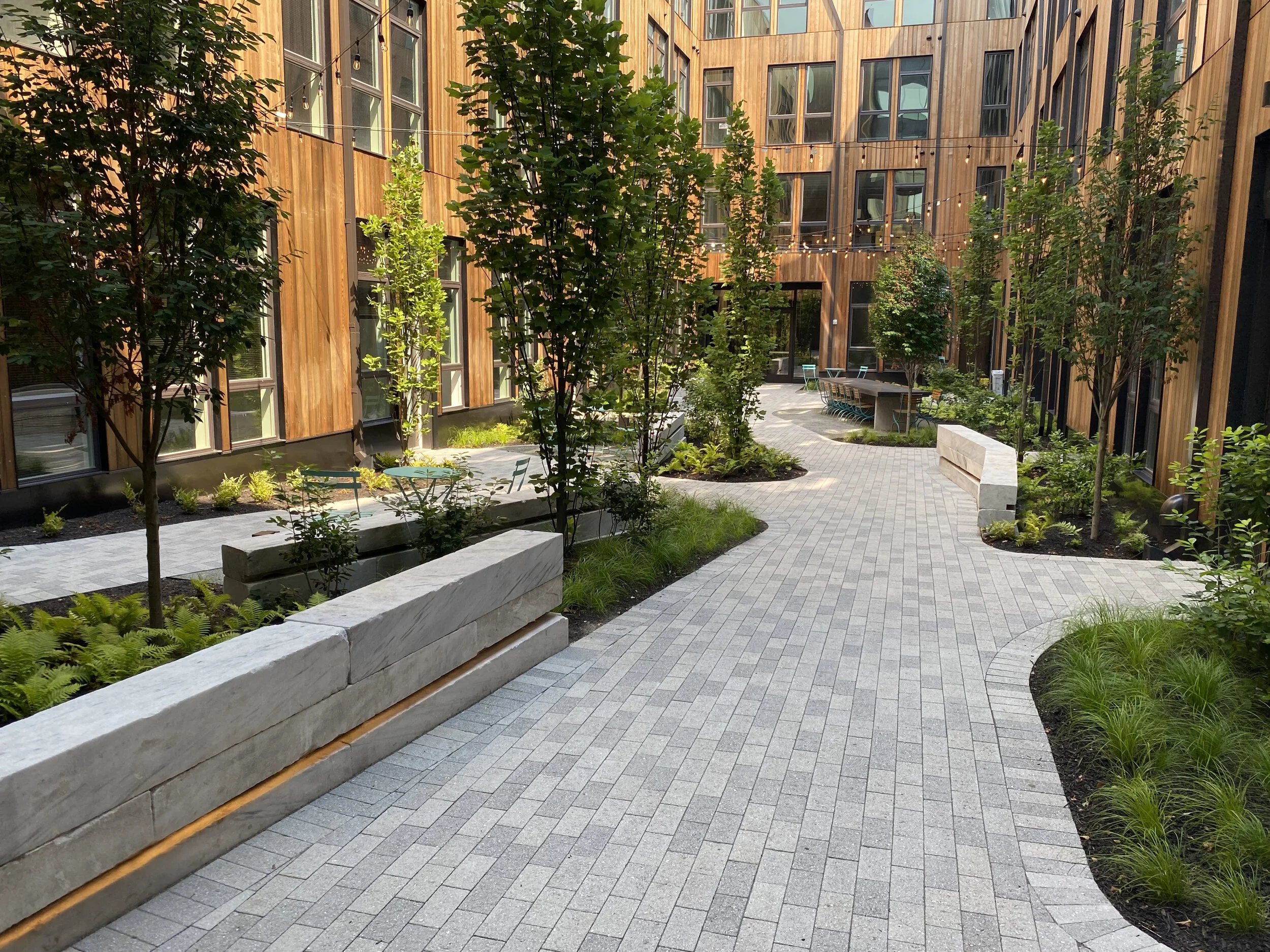 GroundControl_Cooper_WillBelcher (4).JPG