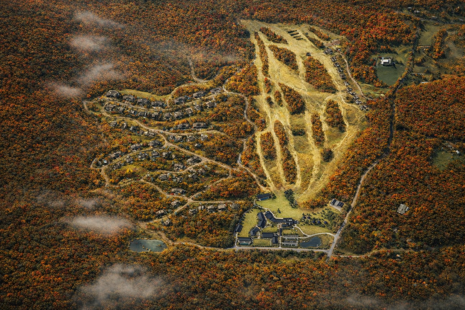 260128_CortinaValley_MasterPlan Fall.png