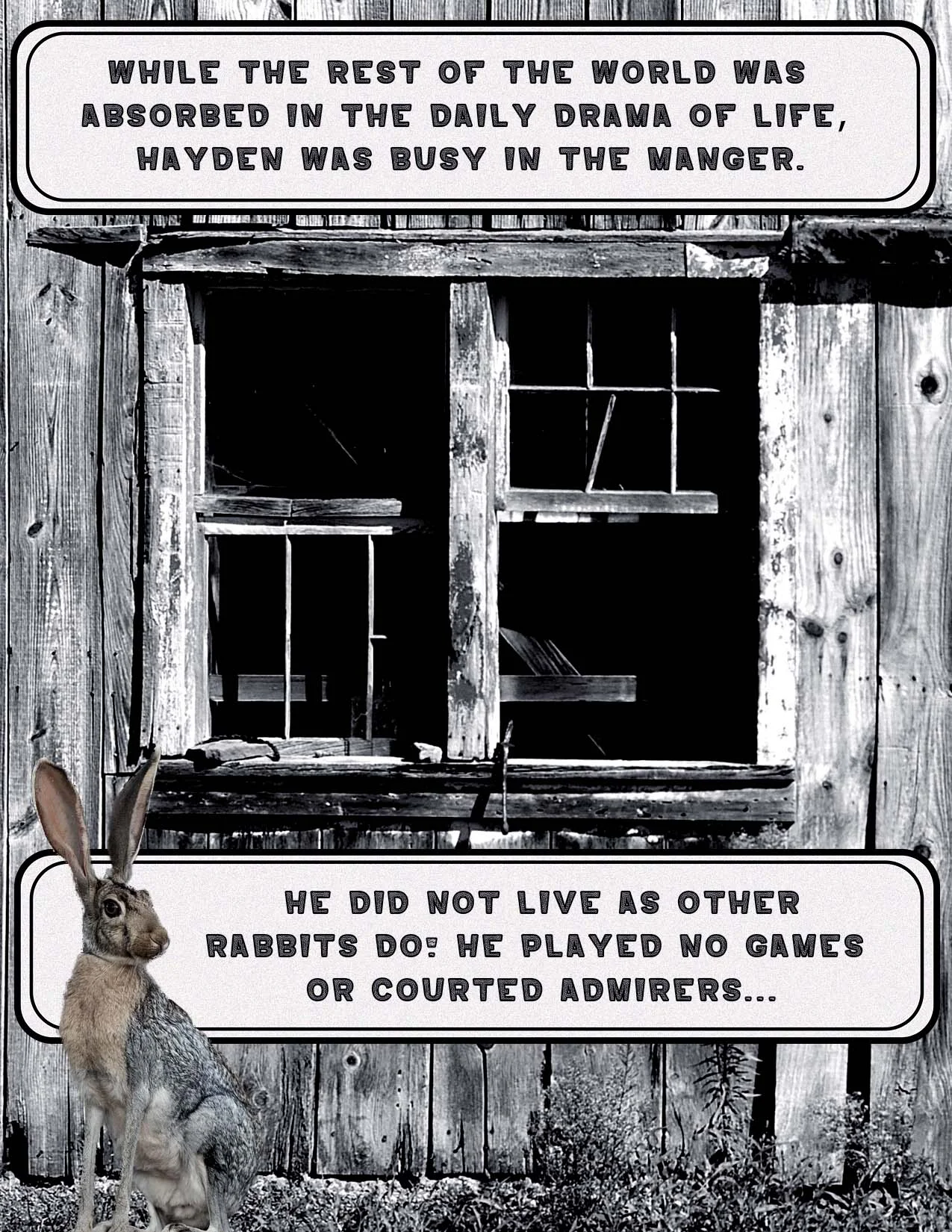 HaydensMangerPage3.jpg