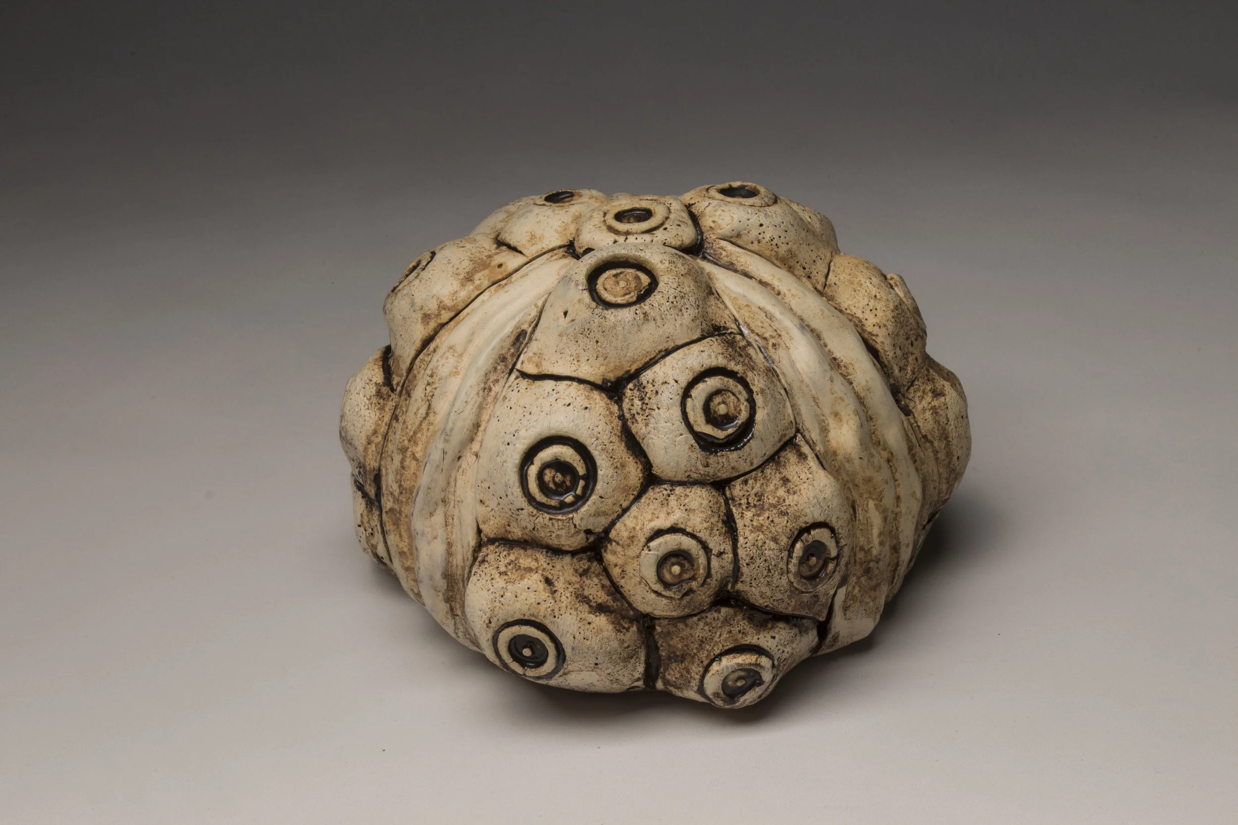 boldenmiraclefossil.jpg