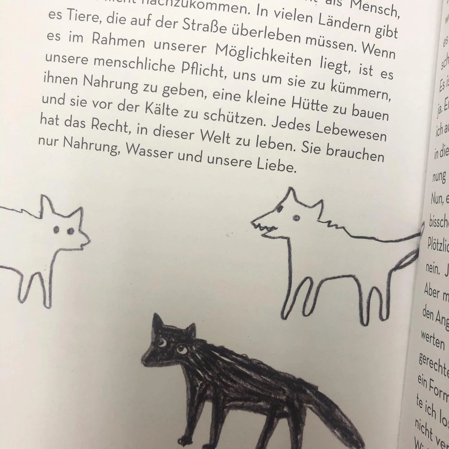 f&uuml;r unsere freunde sind wir mehr als die summe unserer fehler #zine #zinemaking #freunde #geschichten #foto #naturewriting #illustration von Jorinde Rebbelmund
