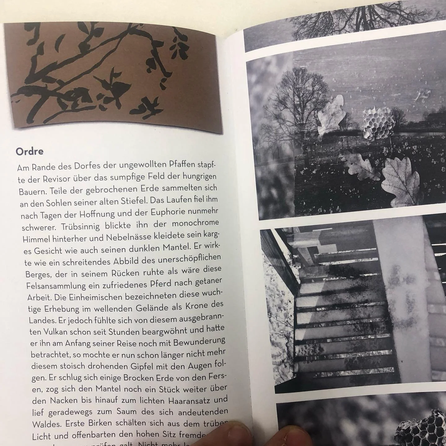 wenn die hohen sitze schlafen #zine #zinemaking #hochsitze #geschichten #foto #naturewriting #fotografie #g&ouml;rlitz #saschar&ouml;hricht