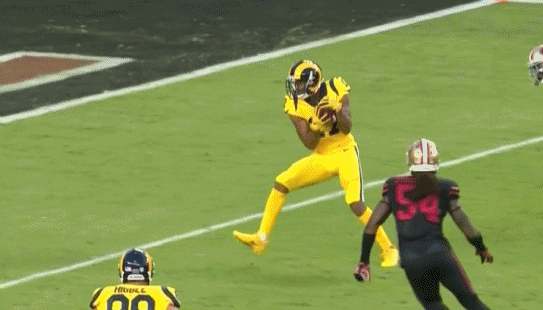 ninerhit.0.gif