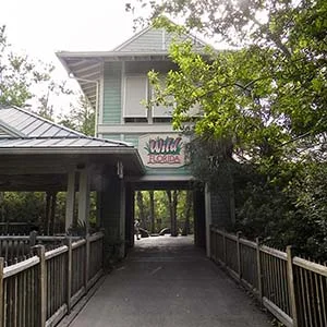 Jacksonville Zoo Wild Florida