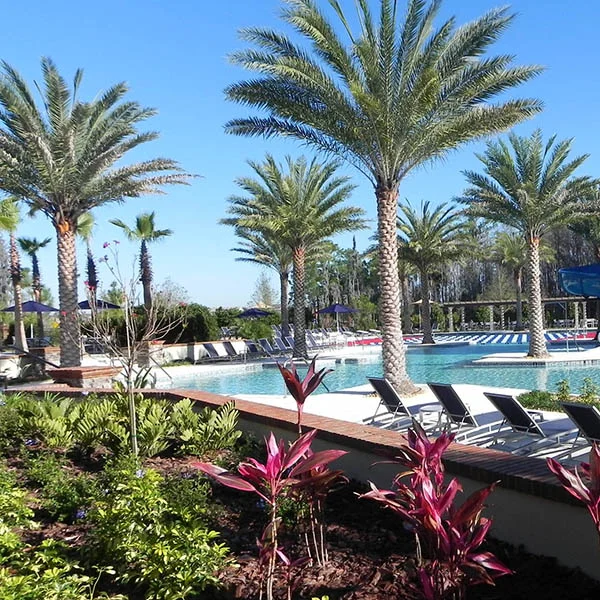Estancia at Wiregrass