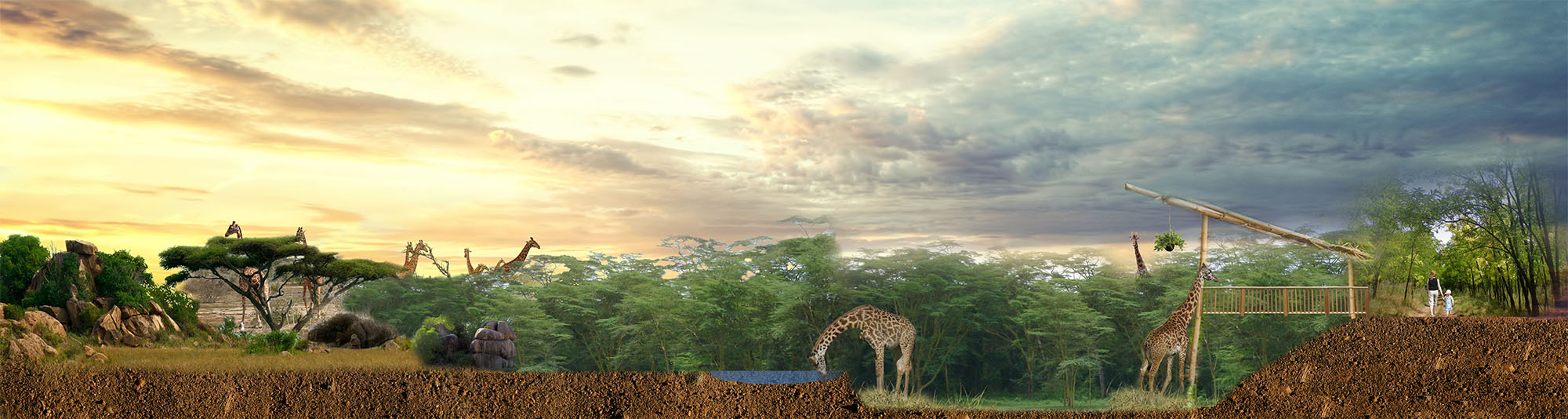 Rendering of proposed new Utica Zoo giraffe habitat by ELM Environments