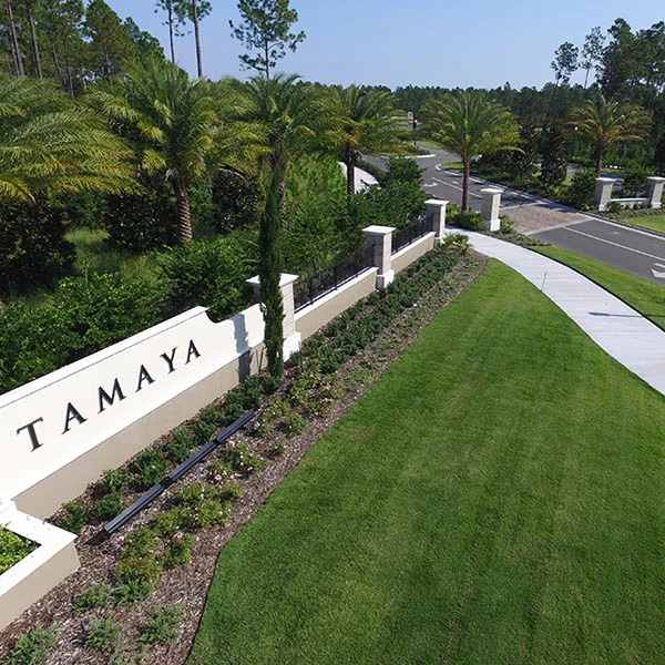 Tamaya