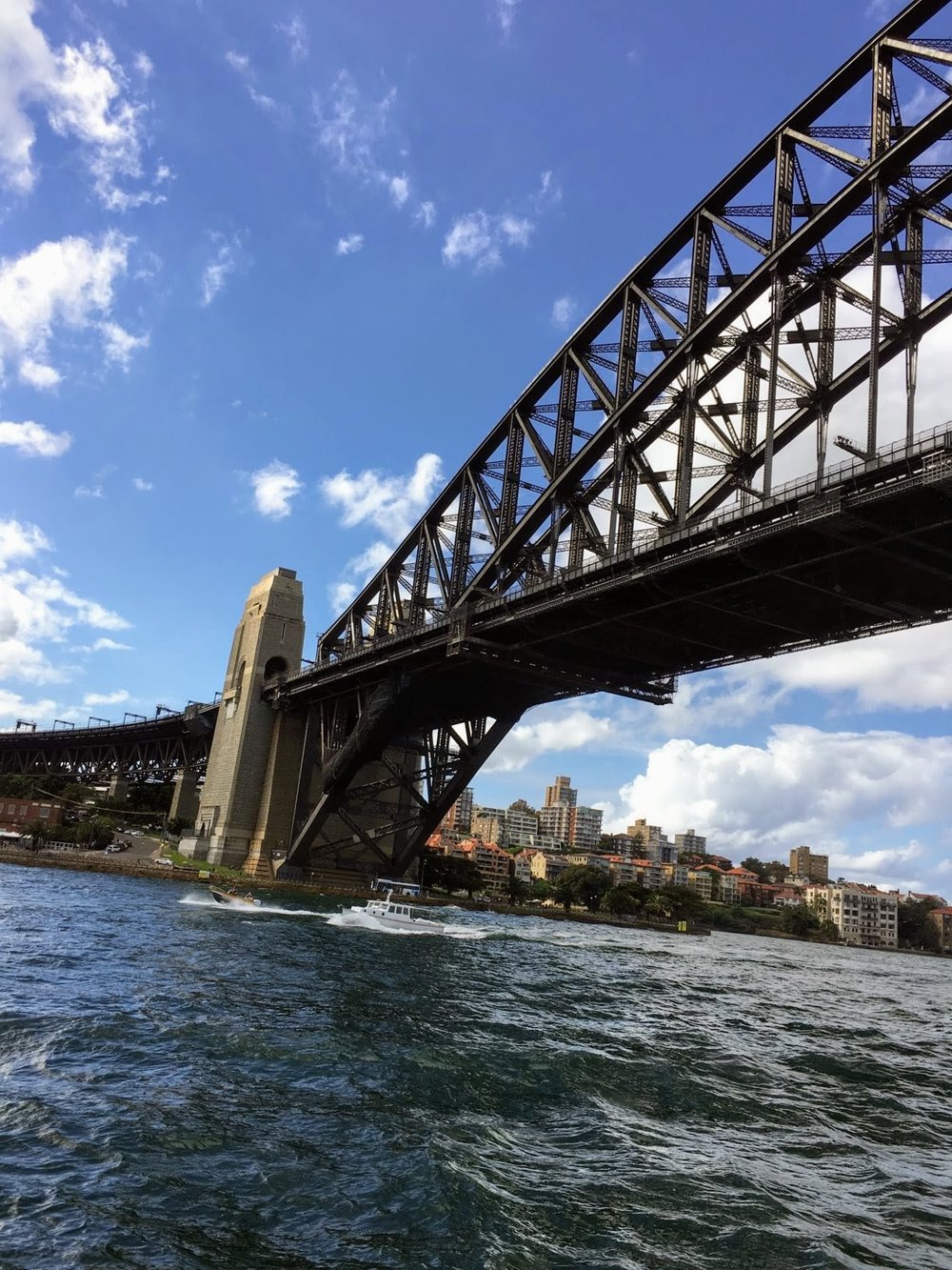 Sydney Bridge and Harbour