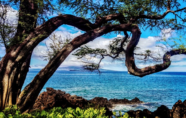 WAILEA BEACH, MAUI