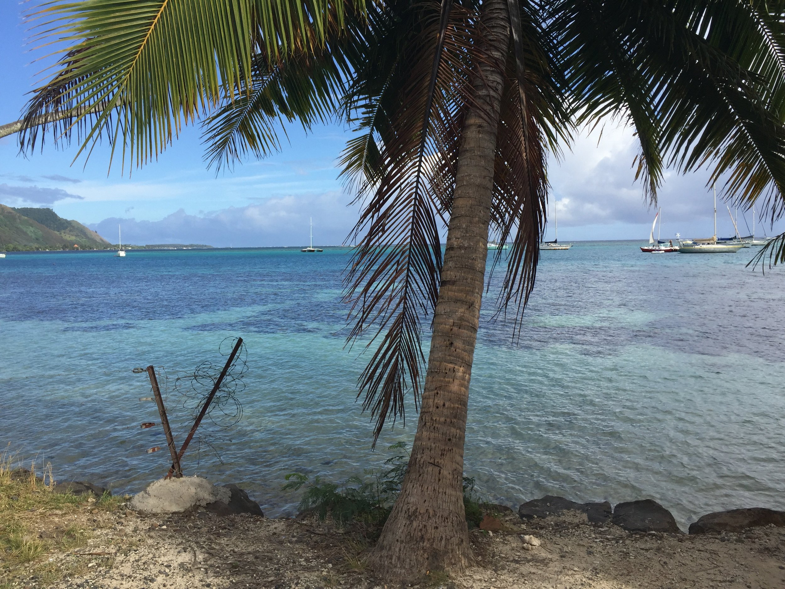 Moorea - 4x4 escursion to Magic Mountain.jpeg
