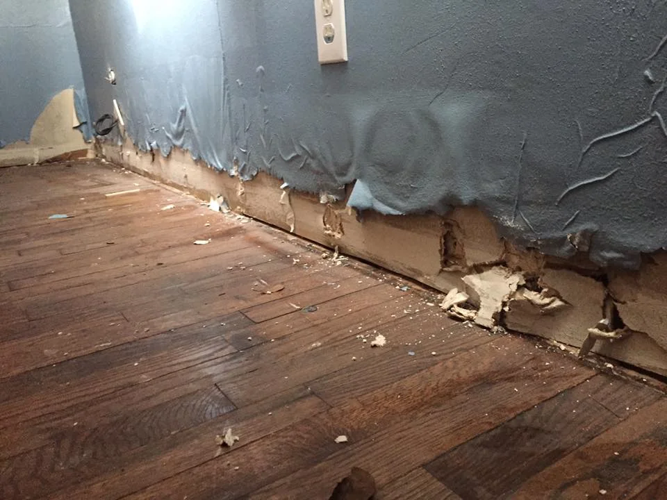 After Harvey.jpg
