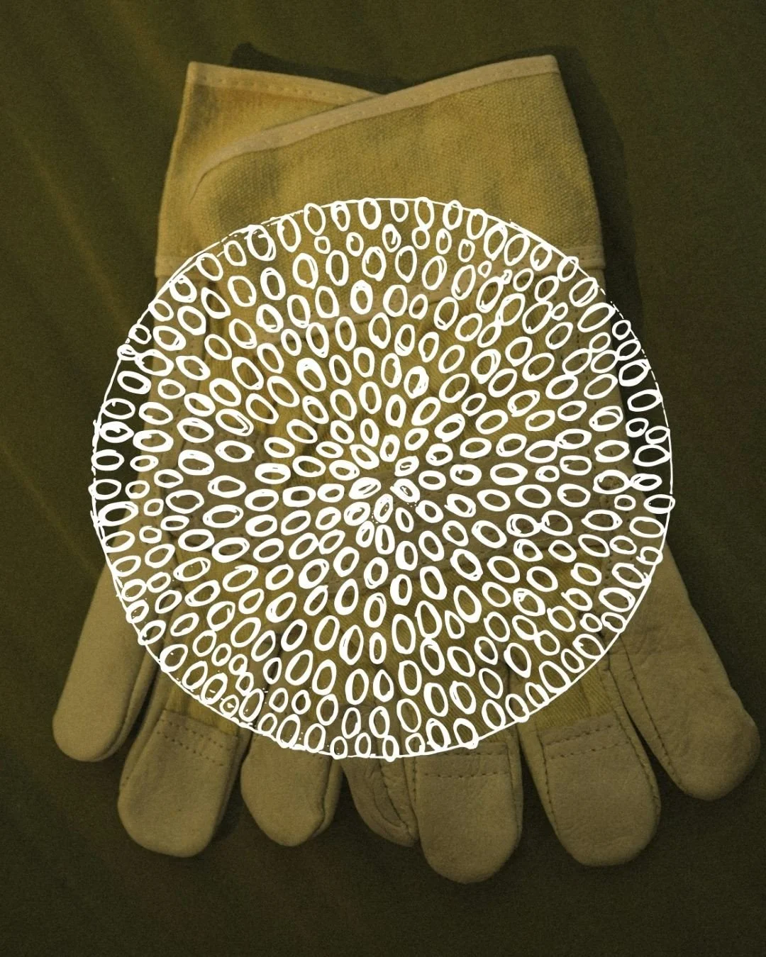 Today we pulled the gloves back out.⁠
Dusted them off.⁠
Looked out the window at the snow.⁠
⁠
And instead of waiting &mdash;⁠
⁠
We lit bhumisparsha.⁠
⁠
Boom.⁠
Spring in the house.⁠
⁠
Fresh grass.⁠
Soft florals.⁠
Damp soil warming at the base.⁠
⁠
If y