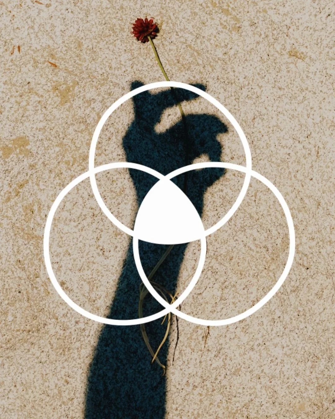 HARA means your center.⁠
⁠
In Japanese tradition, it refers to the place where mind, body, and spirit meet &mdash; your true center, power source, and home state.⁠
⁠
Our signature candle was designed to bring you back there.⁠
⁠
The scent unfolds slow