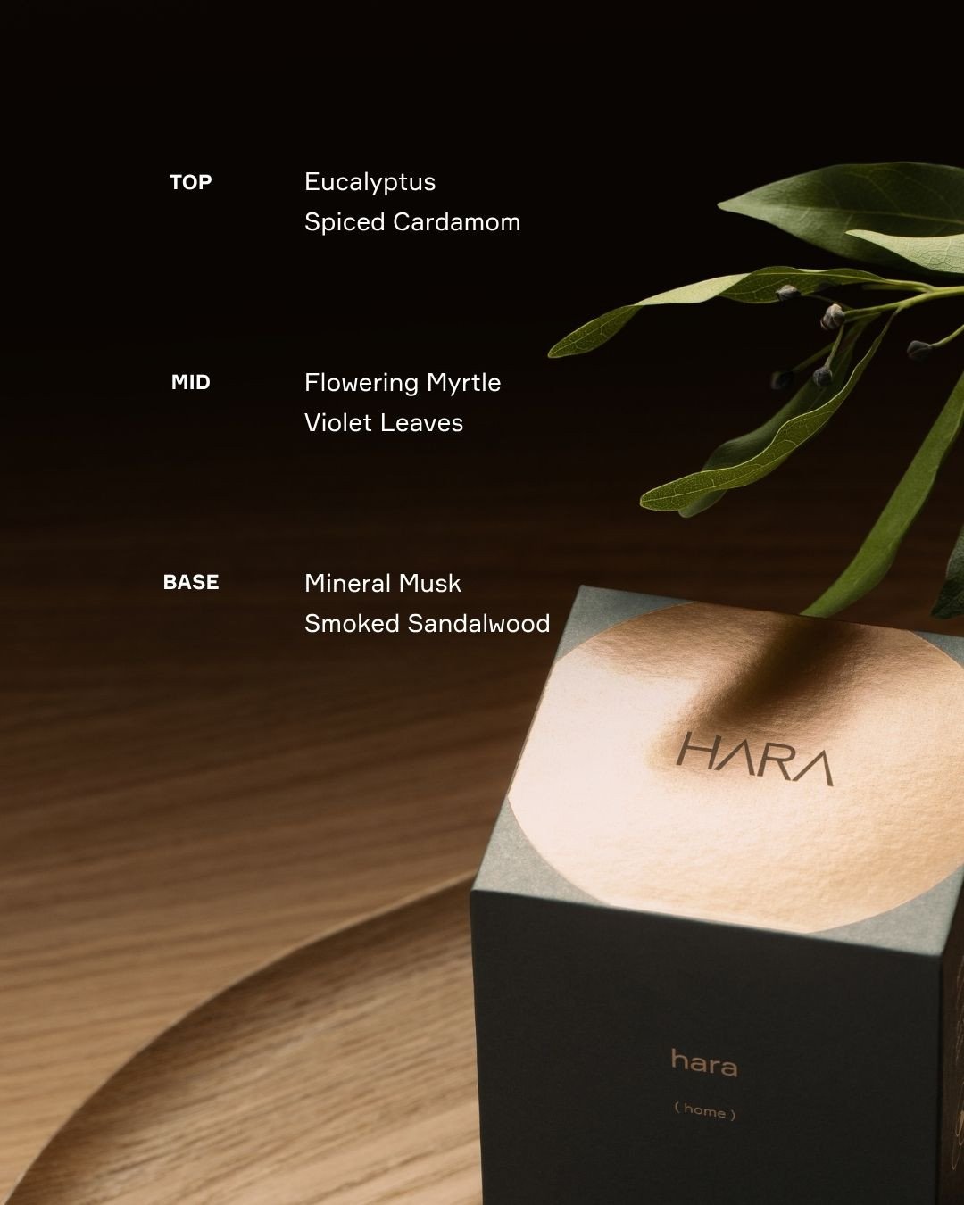 Smells like verdant greens and vintage leather&mdash;⁠
fresh clarity, centered depth.⁠
⁠
This is where it all began.⁠
The scent that set everything in motion.⁠
⁠
Before there was a collection, there was this feeling&mdash;⁠
a pull back to center.⁠
So