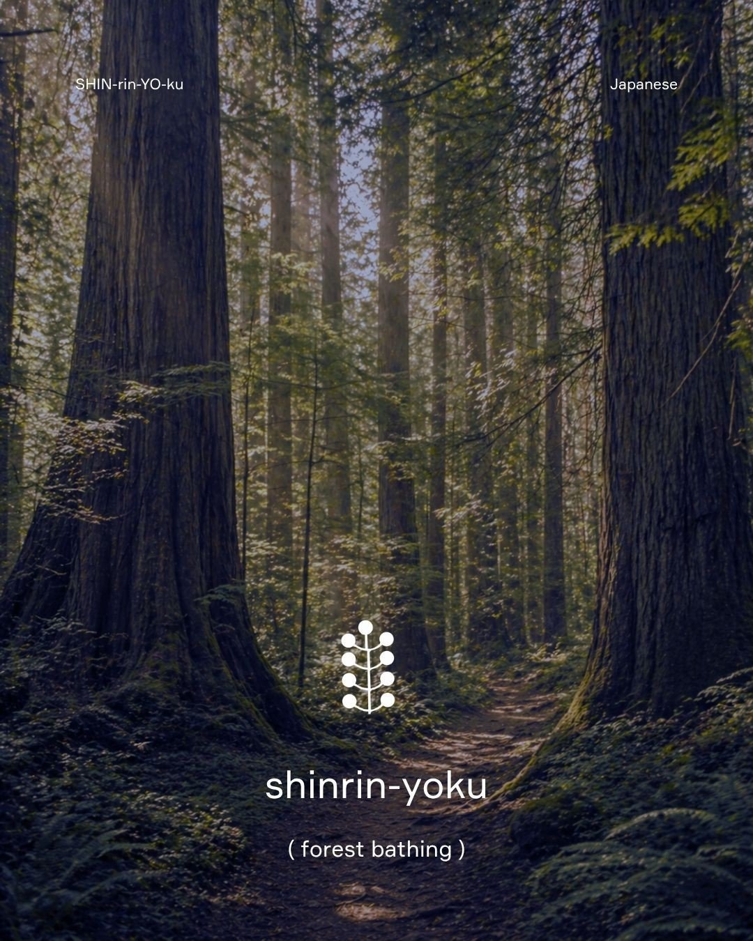You don&rsquo;t need to go anywhere.⁠
But it helps to feel like you did.⁠
⁠
Step in. Let it quiet you.⁠
⁠
Shop now. The HARA candle.⁠
Smell like the forest.