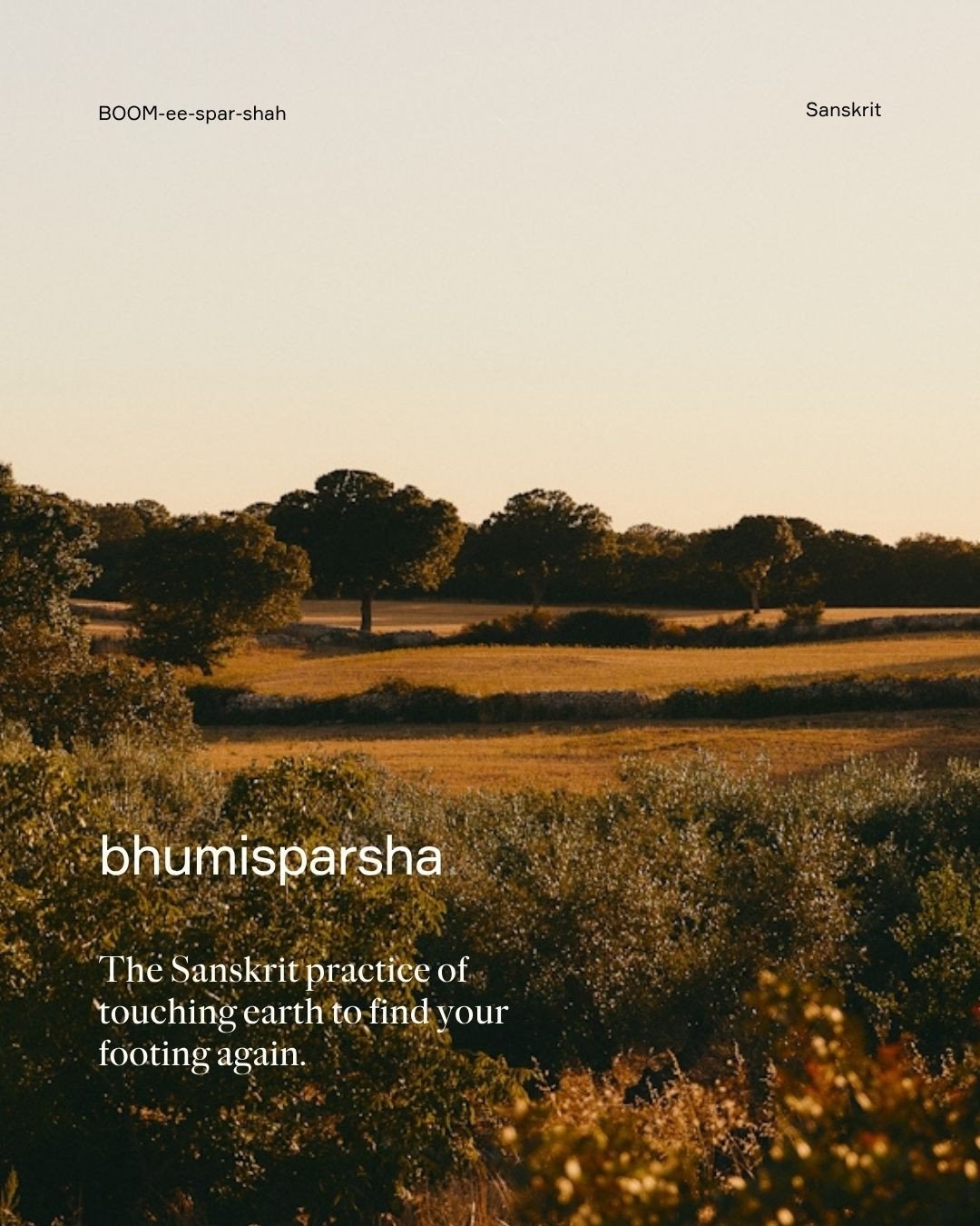 Bhumisparsha is a Sanskrit word meaning &ldquo;touching the earth.&rdquo;⁠
⁠
Long before wellness trends and productivity hacks, there was the simple practice of reconnecting with the ground beneath your feet to regain clarity, purpose, and perspecti