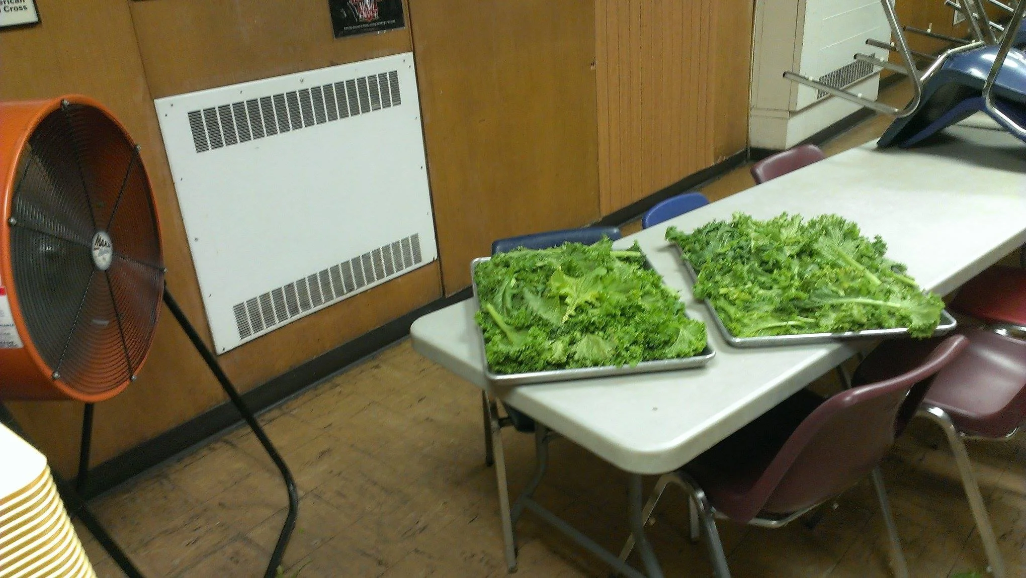 mustard-greens_15274642860_o.jpg